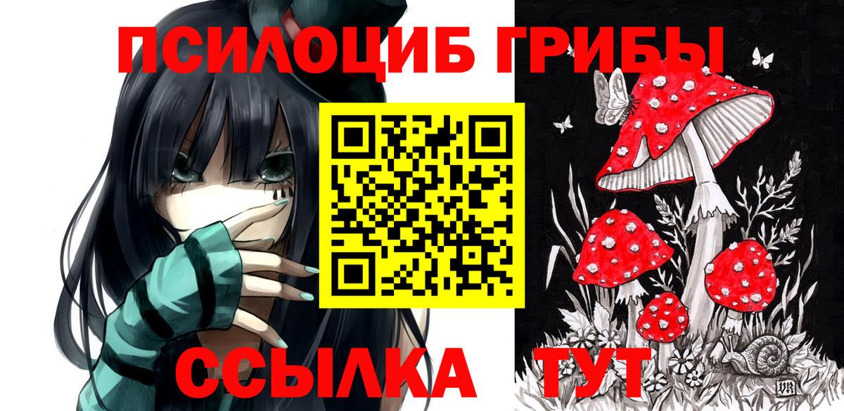 Галлюциногенные грибы ЛСД  Вход с VPN  Изобильный  Галлюциногенные грибы Psilocybe 